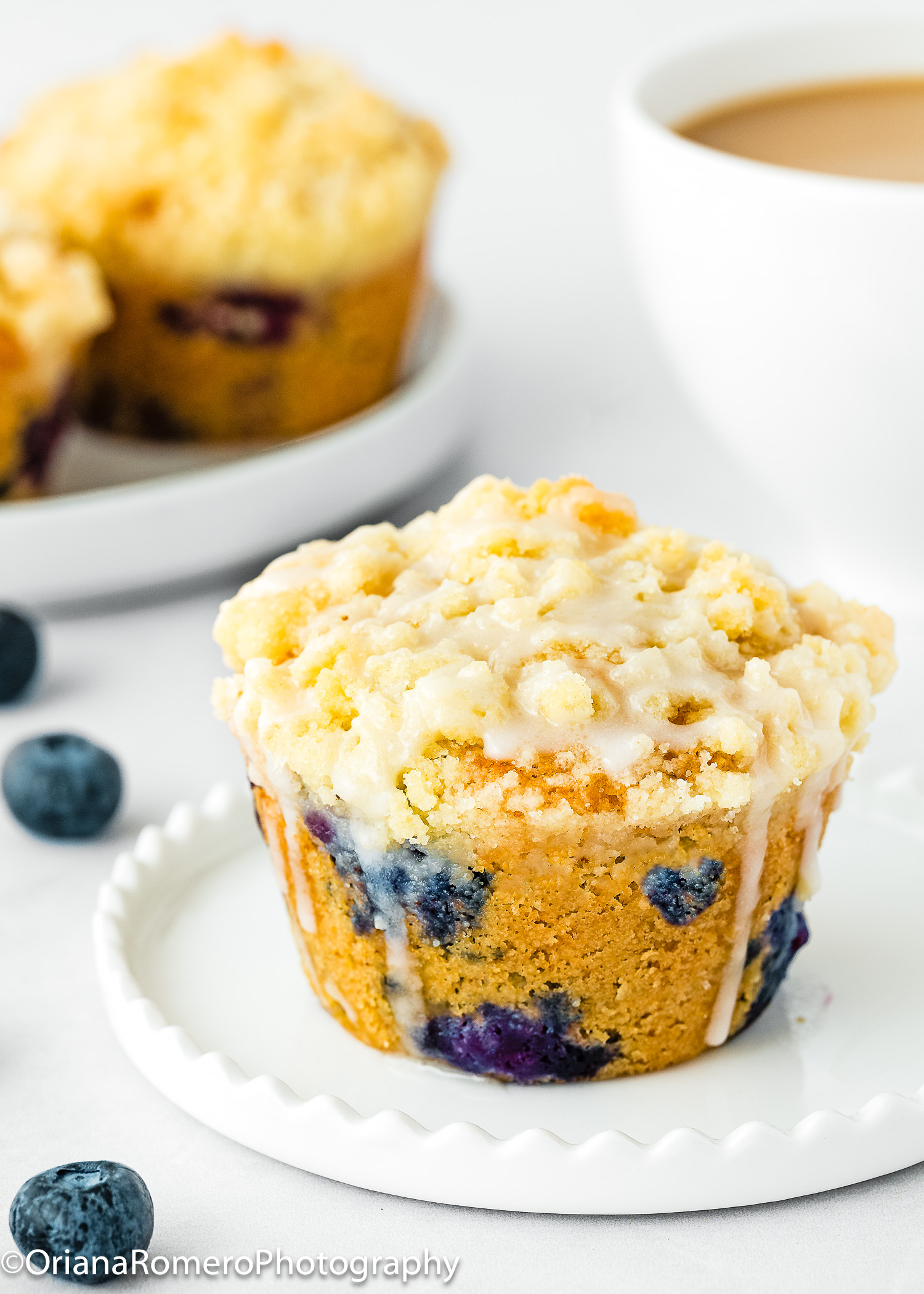 Fresh Blueberry Muffin Cake Recipe
